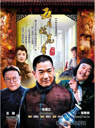 五月槐花香（2004年张国立执导的剧情类电视剧）