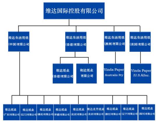 维达国际控股有限公司