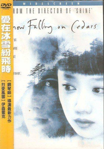 爱在冰雪纷飞时（2000年张汉杰执导的爱情剧）