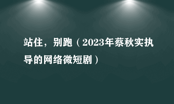 站住，别跑（2023年蔡秋实执导的网络微短剧）