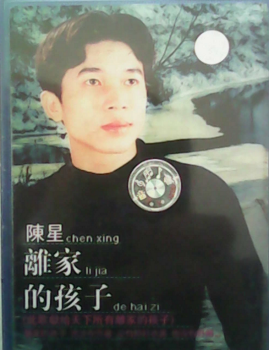 离家的孩子（陈星、吕飞演唱的歌曲）