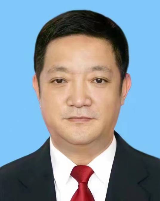 杨维林（广西壮族自治区人民政府副主席、党组成员，自治区公安厅党委书记、厅长、督察长）