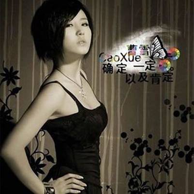 确定一定以及肯定（2008年曹雪演唱歌曲）