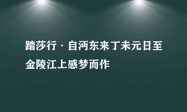 踏莎行·自沔东来丁未元日至金陵江上感梦而作