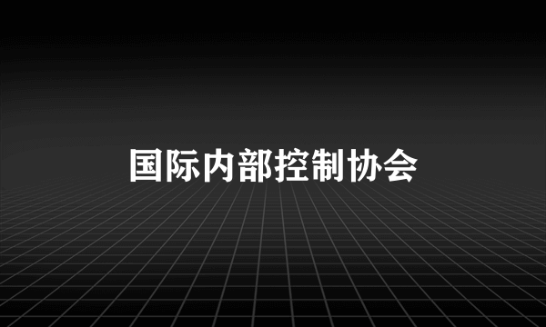 国际内部控制协会