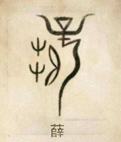薛姓（中国姓氏之一）