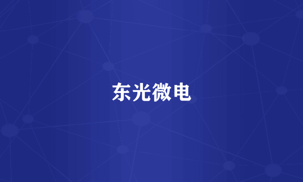 东光微电