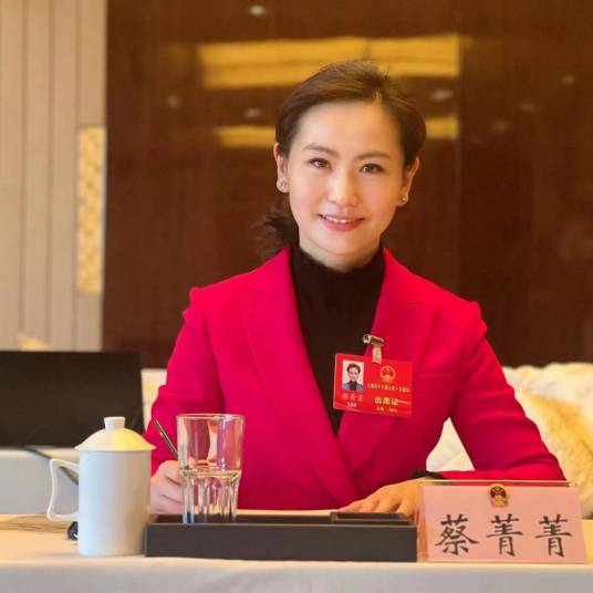 蔡菁菁（上海广播电视台主持人、记者）