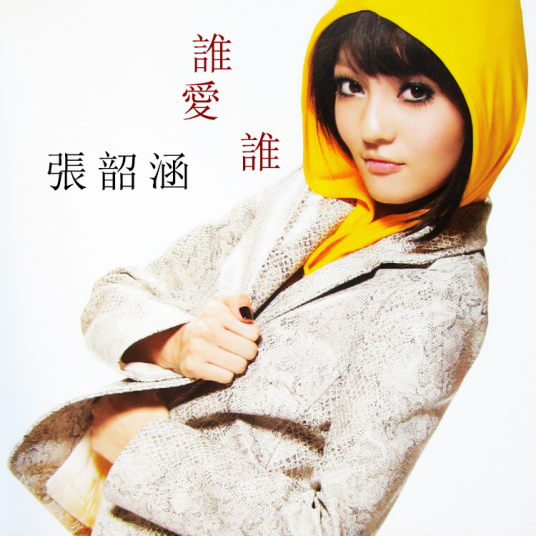 谁爱谁（2007年张韶涵演唱歌曲）