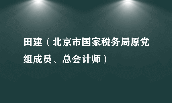 田建（北京市国家税务局原党组成员、总会计师）