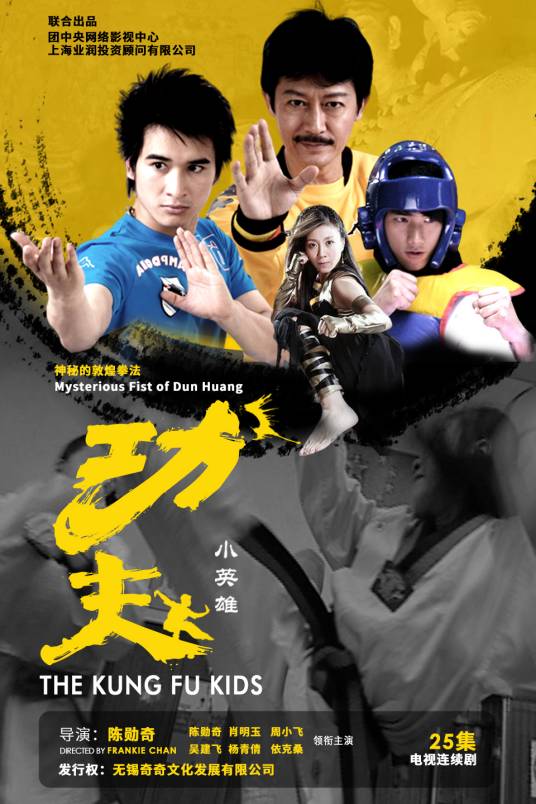 功夫之王（2008年陈勋奇执导的动作剧）