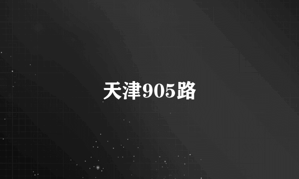 天津905路