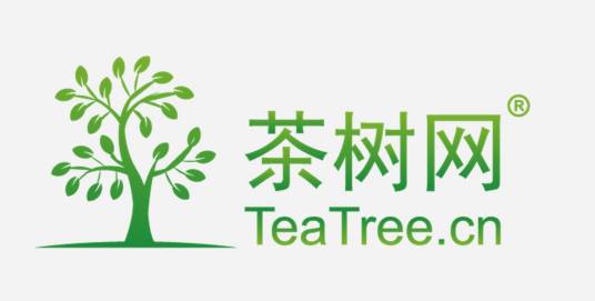 茶树网学院