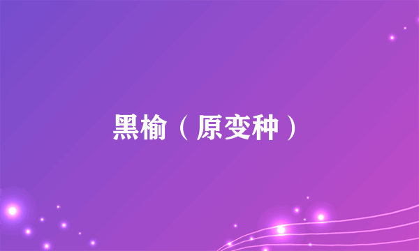 黑榆（原变种）
