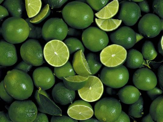 莱姆（芸香科柑橘属植物）