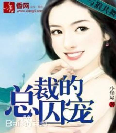 与狼共舞：总裁的囚宠