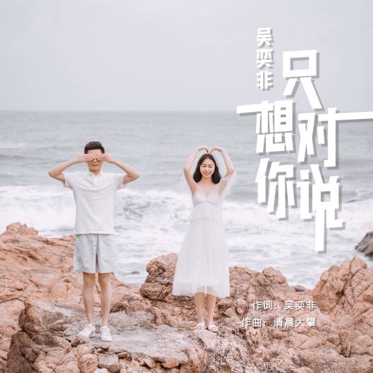 只想对你说（吴奕非演唱的歌曲）