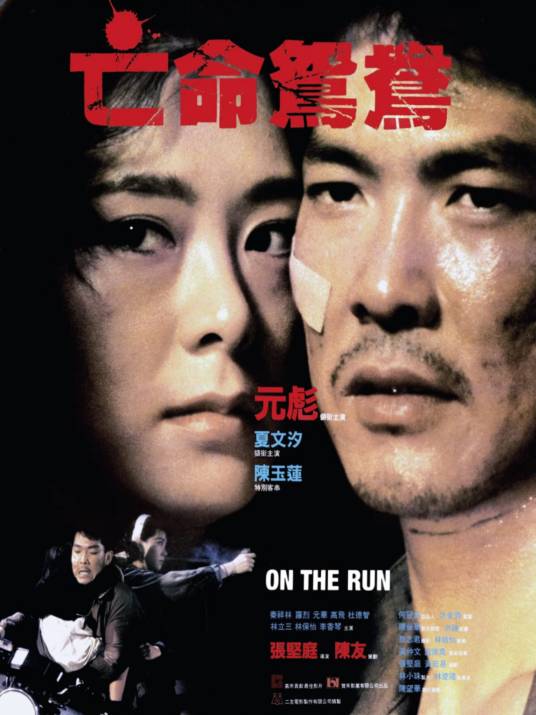 亡命鸳鸯（1988年张坚庭执导的电影）