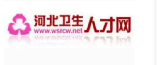 河北卫生人才网