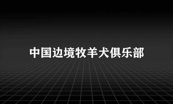 中国边境牧羊犬俱乐部