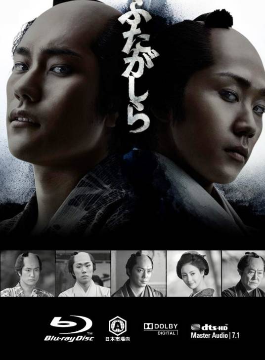 江户盗贼团双雄（日本2015年松山健一等主演的电视剧）