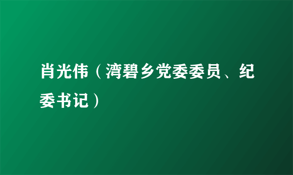 肖光伟（湾碧乡党委委员、纪委书记）
