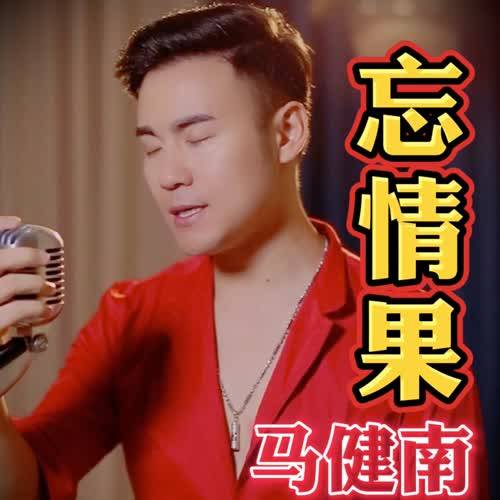 忘情果（马健南演唱歌曲）