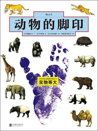 动物的脚印
