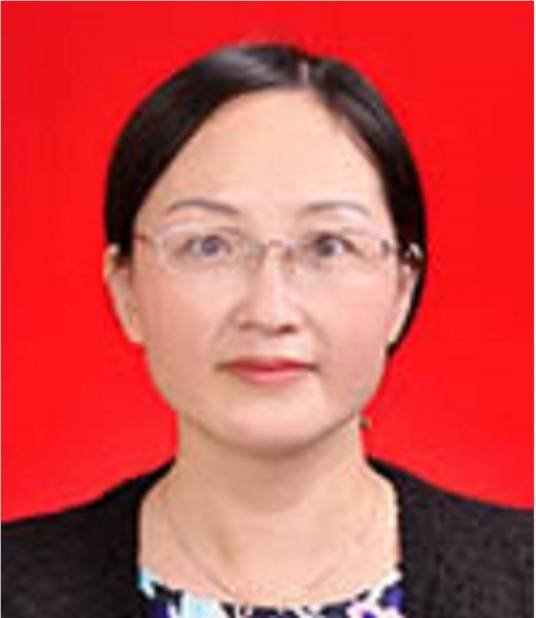 杨宜（江西省宜春市袁州区人民政府副区长）