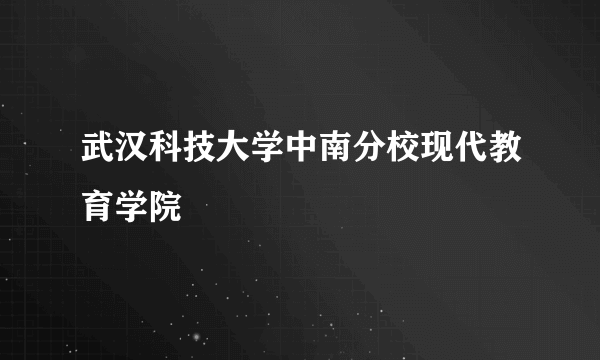 武汉科技大学中南分校现代教育学院