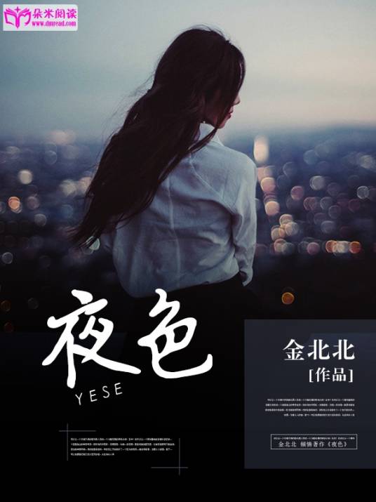 夜色（金北北创作的纪实生活类网络小说）