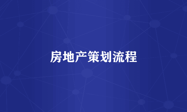 房地产策划流程
