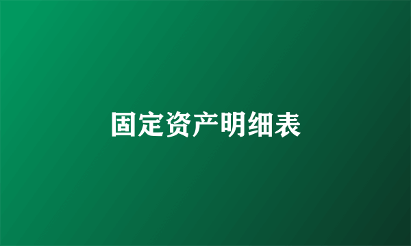 固定资产明细表