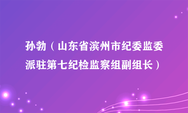 孙勃（山东省滨州市纪委监委派驻第七纪检监察组副组长）