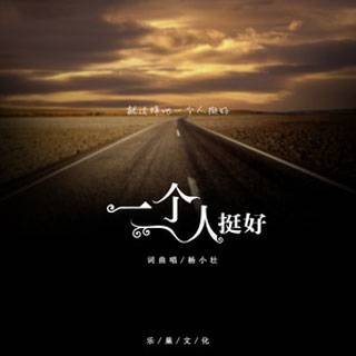 一个人挺好（杨小壮演唱的歌曲）