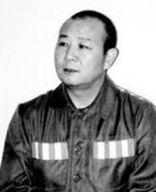 王廷军（河南原西平县委书记）