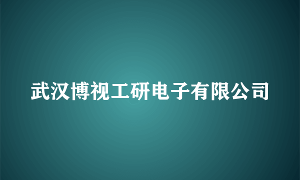 武汉博视工研电子有限公司