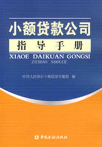 小额贷款公司（2006年中国金融出版社出版的图书）