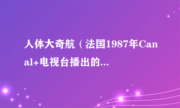 人体大奇航（法国1987年Canal+电视台播出的健康教育动画电视剧）