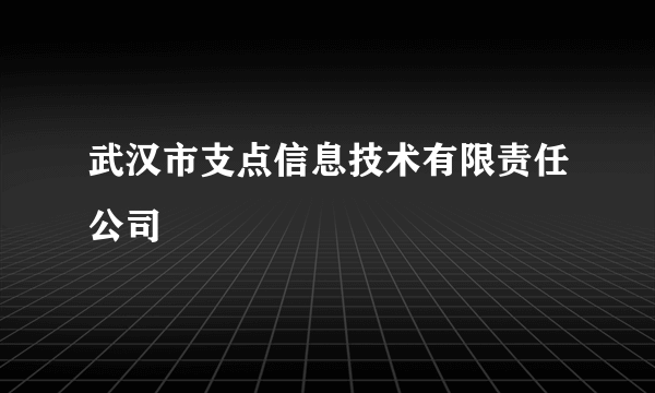武汉市支点信息技术有限责任公司