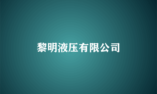 黎明液压有限公司