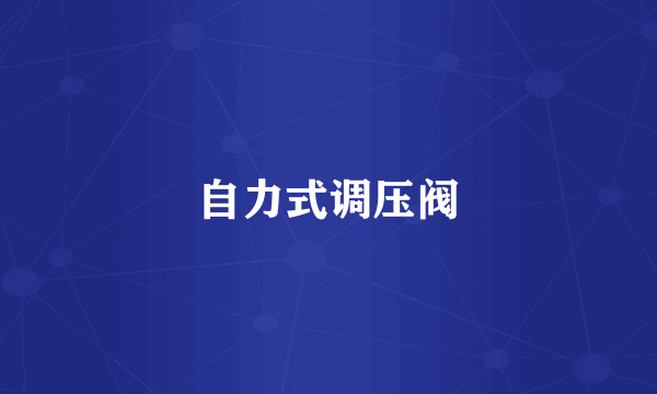 自力式调压阀