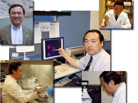 王兴利（美国贝勒医学院终身教授）