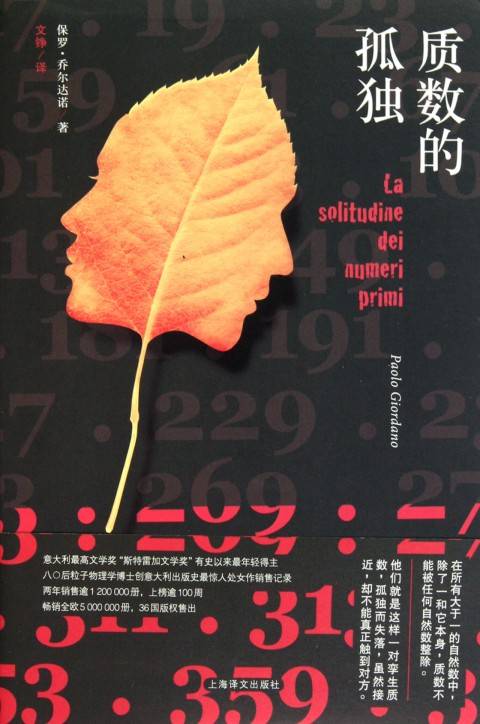 质数的孤独（2011年上海译文出版社出版的图书）