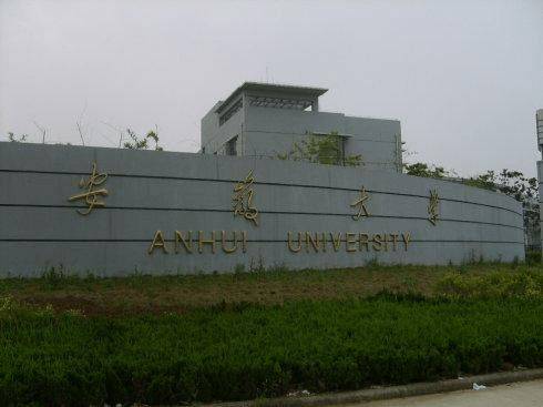 安徽大学职业技术学院