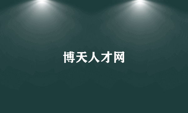 博天人才网
