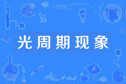光周期现象