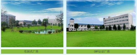 湖南天天清茶叶有限公司