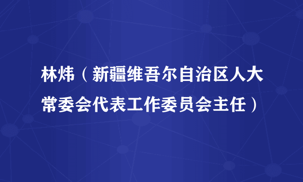 林炜（新疆维吾尔自治区人大常委会代表工作委员会主任）