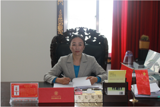 彭春华（达日县人民政府副县长）